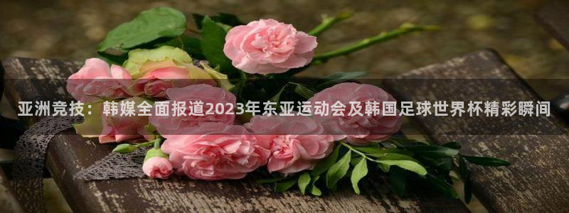 178足球联赛视频直播：亚洲竞技：韩媒全面报道2023年东亚运动会及韩国足球世界杯精彩瞬间